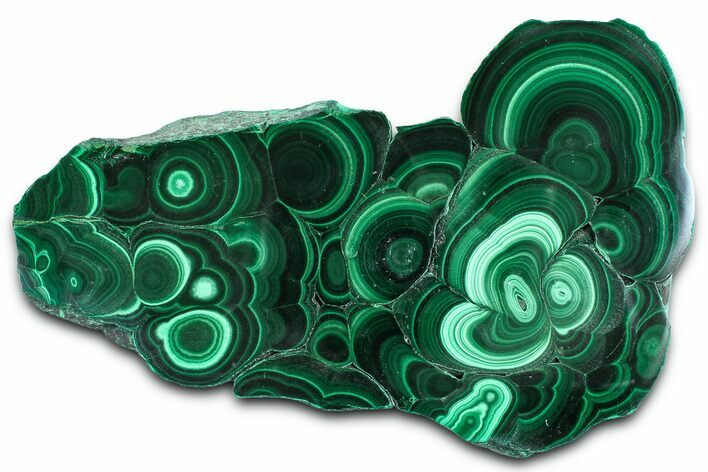 Flowery Polished Malachite Slab - DR Congo #360533